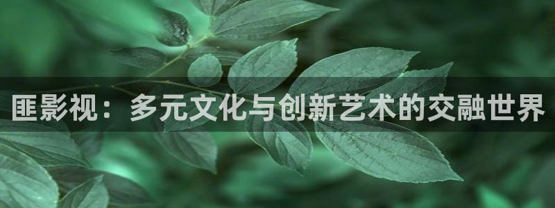 窝窝手机电影网