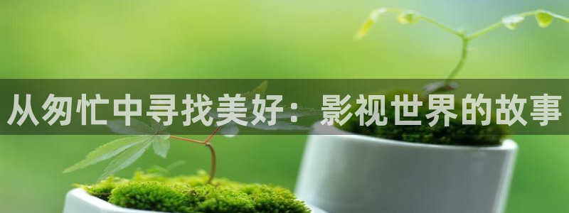 窝窝影视好看电视剧