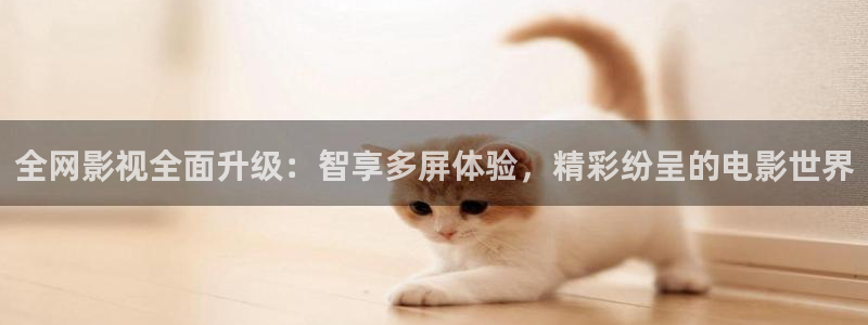 窝窝影院纶理电影在线