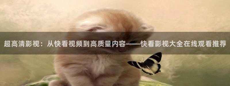 窝窝在线电影电视剧